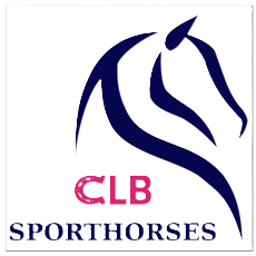 CLB SPORTHORSES CLB SPORTHORSES